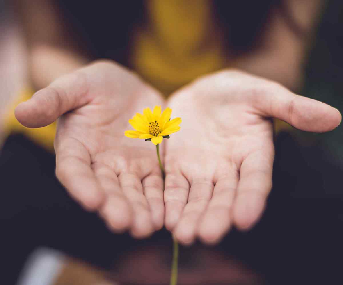 https://site.nataalgroup.com/wp-content/uploads/2019/02/cards_08.jpg