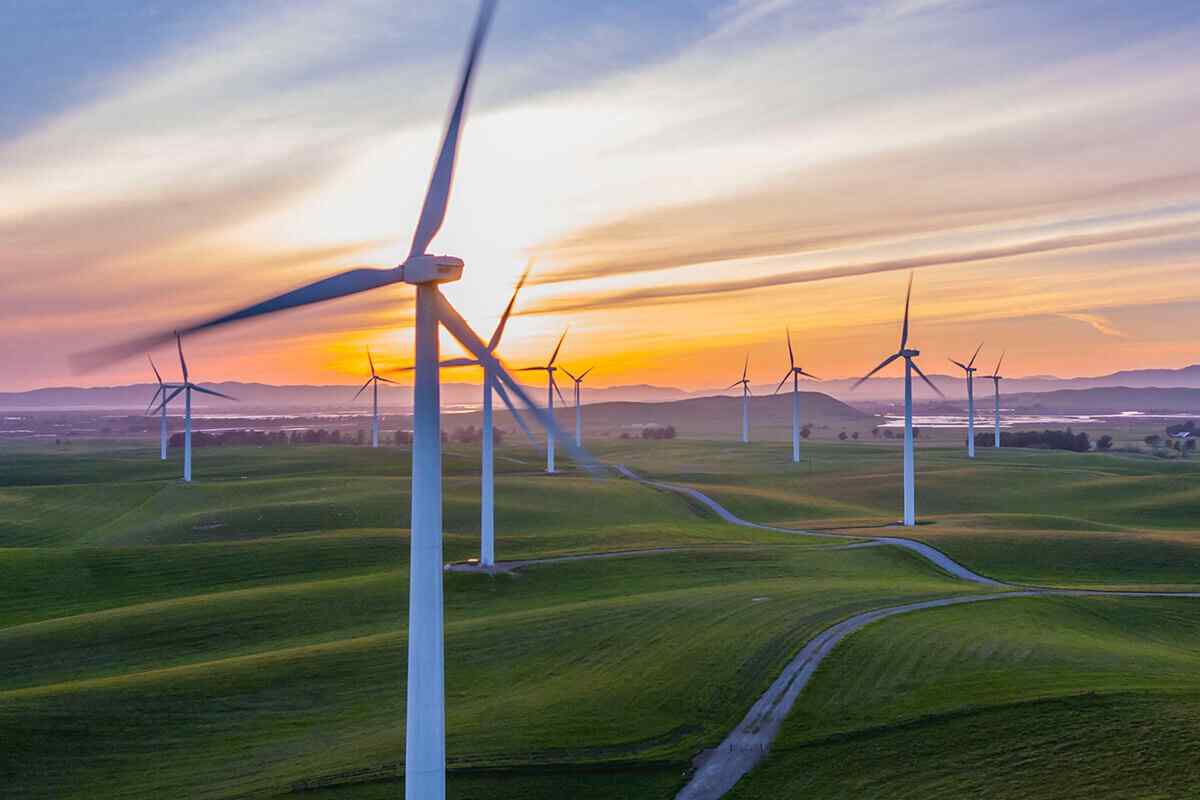 https://site.nataalgroup.com/wp-content/uploads/2019/02/policies_03.jpg